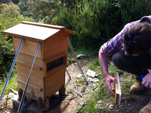 Open Source Beehive Project