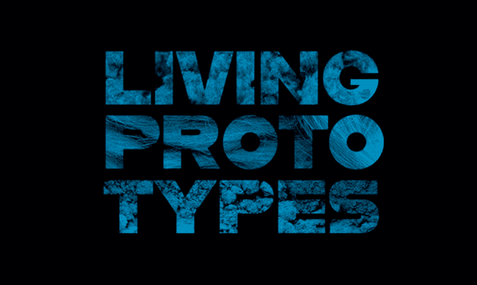 Living Prototypes