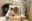 Circular economy: building prototypes