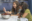 Two women having a workshop related to food waste probably, related to food sustainability and the educational curricula