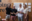macad students at the exhibition 2025